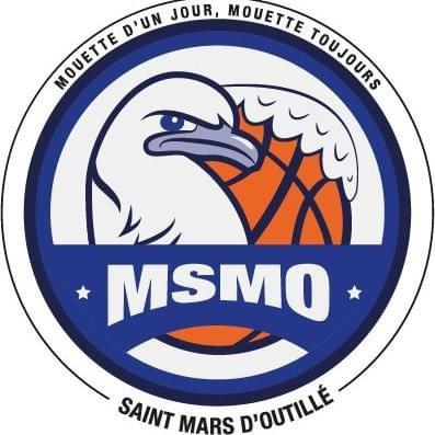 ST MARS D OUTILLE LES MOUETTES - 1